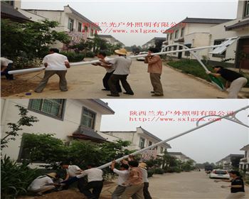 青海農(nóng)村太陽能路燈-青海寶雞扶風項目