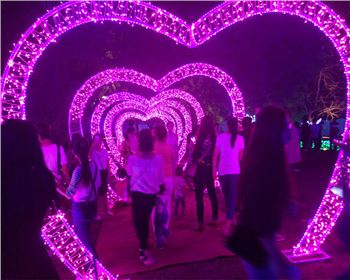 寧夏燈光節(jié)-節(jié)日亮化